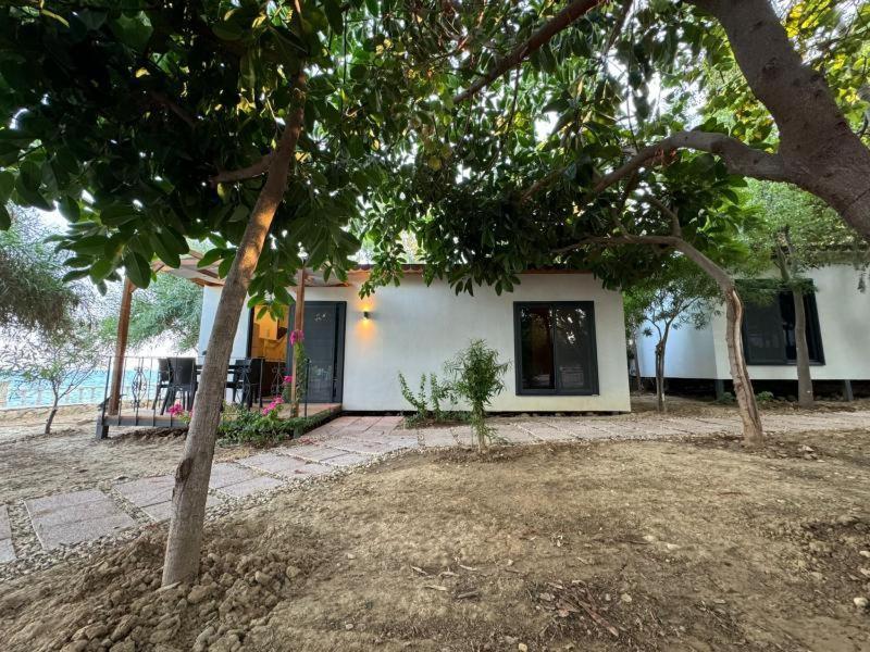 Otelox Ayas Beach Bungalov Erdemli Exterior photo
